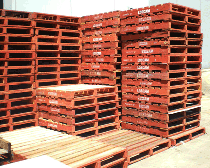 Loscam-Pallets